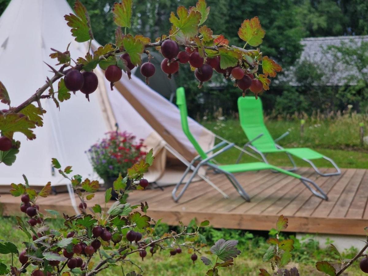 Glamping Fluffy Horns - Glempings Pukainie Ragi Hotel Plienciems Bagian luar foto